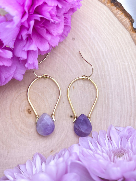 Amethyst Horseshoe Earrings